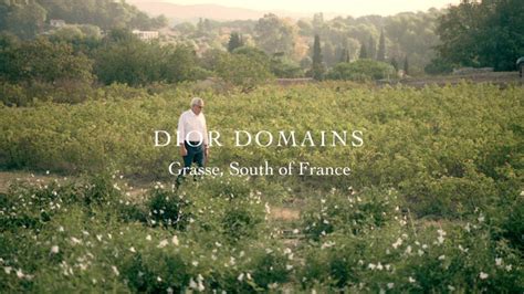 maison dior grasse|Grasse at the heart of Dior fragrances .